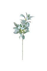 Lamb's Ear Spray