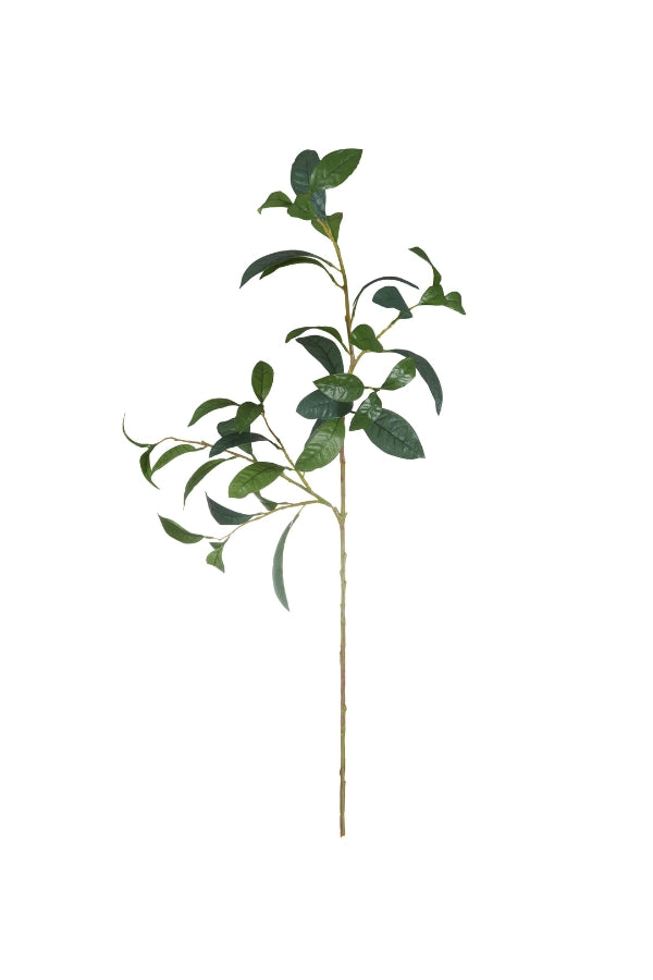 Tall Croton Spray