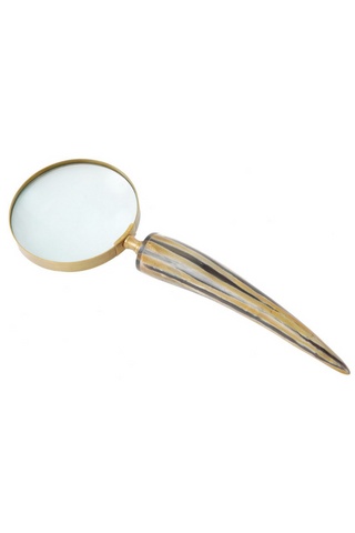 Brass Aluminium Magnifier with Horn Handle