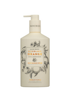 MAINE BEACH Hand & Body Crème 500ml - Magpie Style