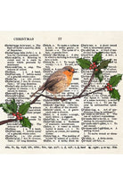 Robin In Holly Christmas Cards (Pack of 5) - Magpie Style