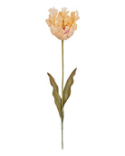 Alison's Acquisitions Parrot Tulip Old World in nude, style OTBE