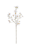 Clematis Spray - White