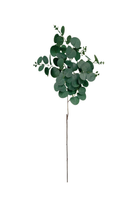 Eucalyptus Spray - Dark Green