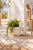 Coastal conch planter with greenery on a sunlit seaside veranda