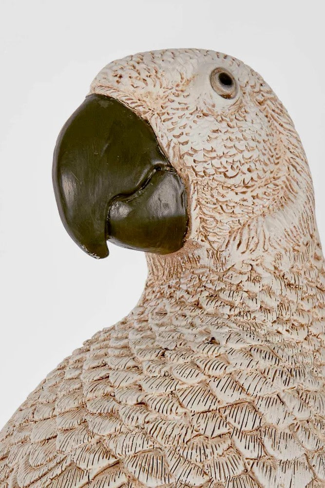 Amabela Large Parrot - Natural - Magpie Style