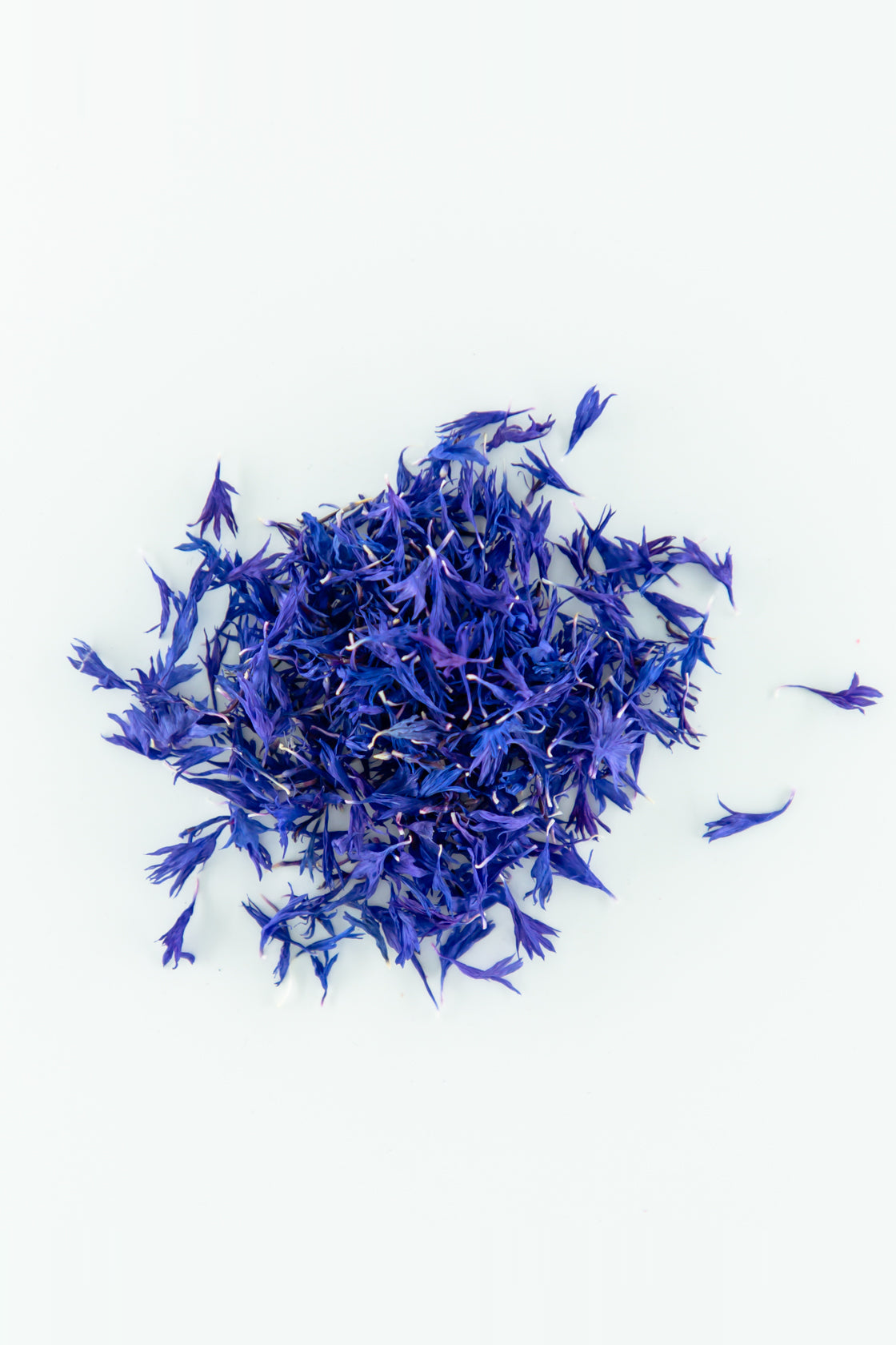 Dried Edible Flower Florets - Solar