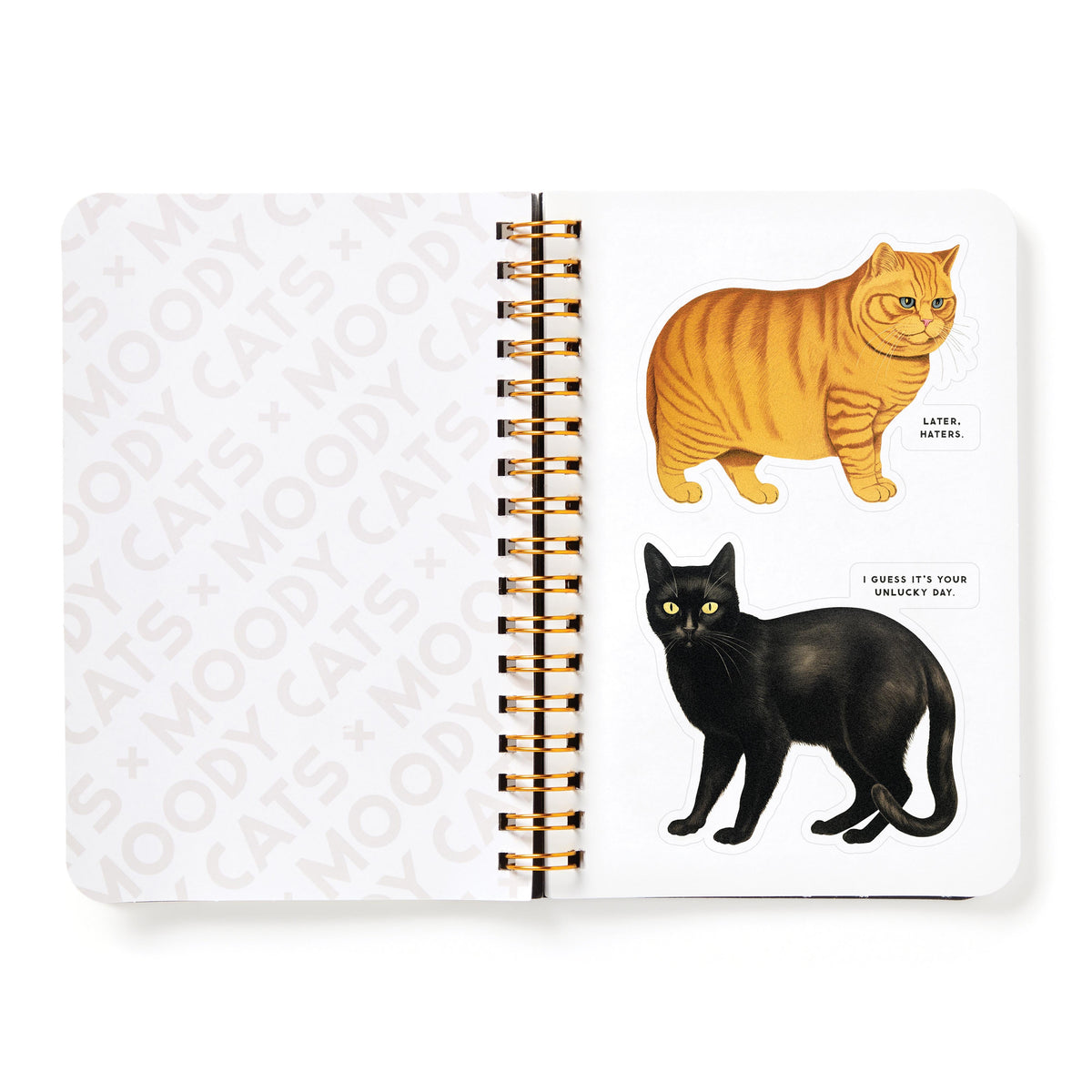 Moody Cats Sticker Book - 5