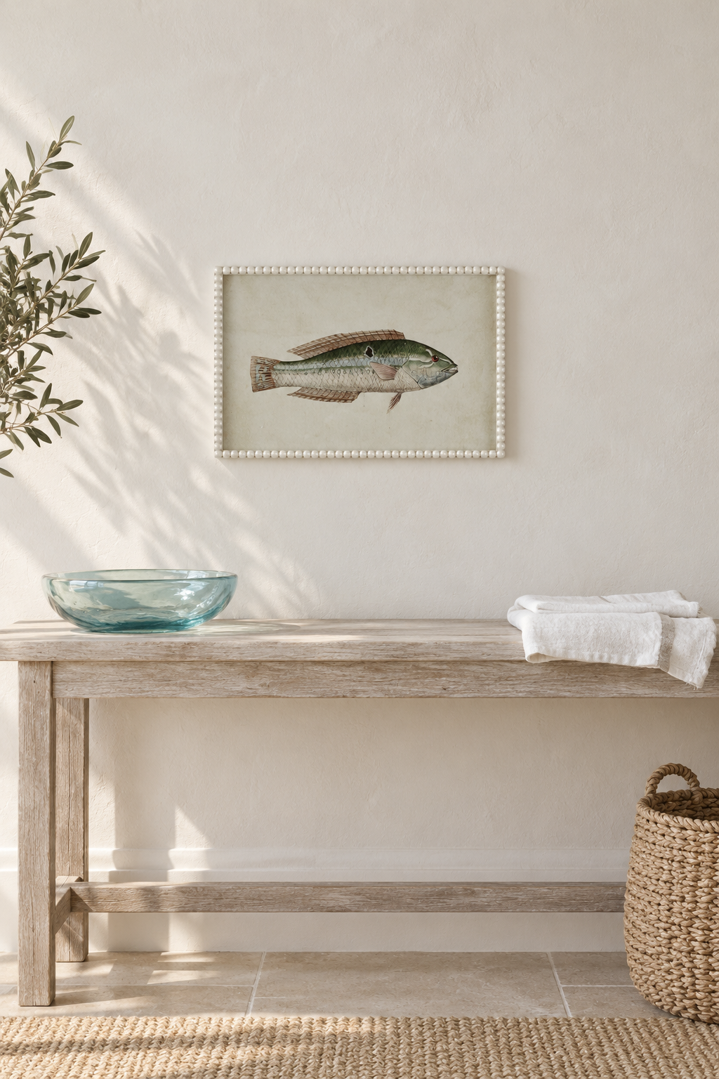 Green Wrasse Study displayed individually at true scale in a coastal interior
