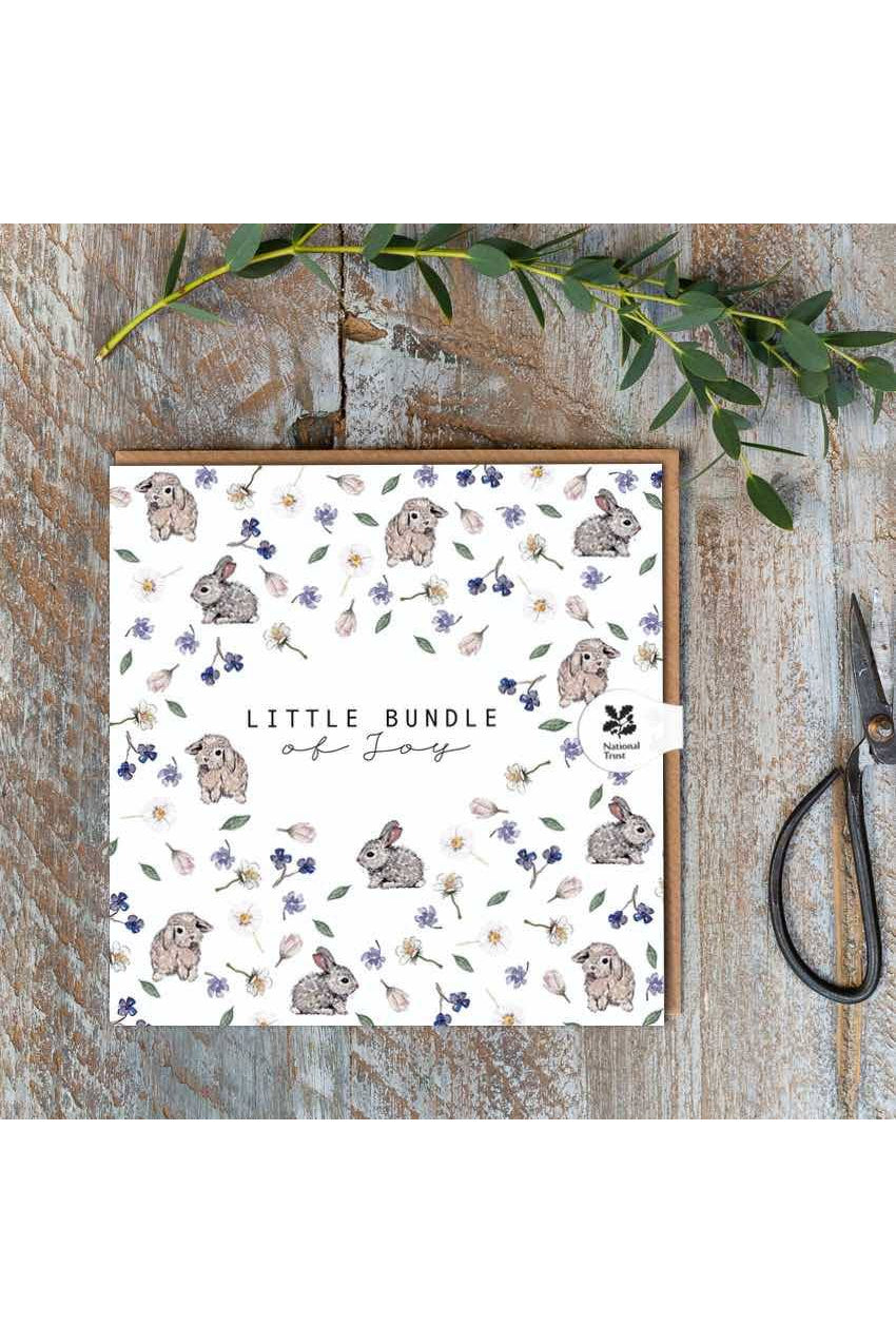 Little Bundle of Joy Bunnies Baby Card