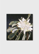 White Waratah Card by Blue Island Press