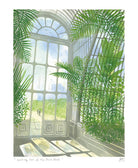 Looking Out At The Palm House Card by Museums & Galleries