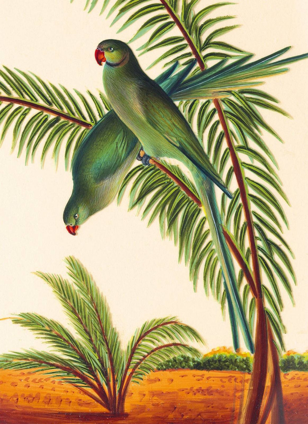 Two Parakeets Card