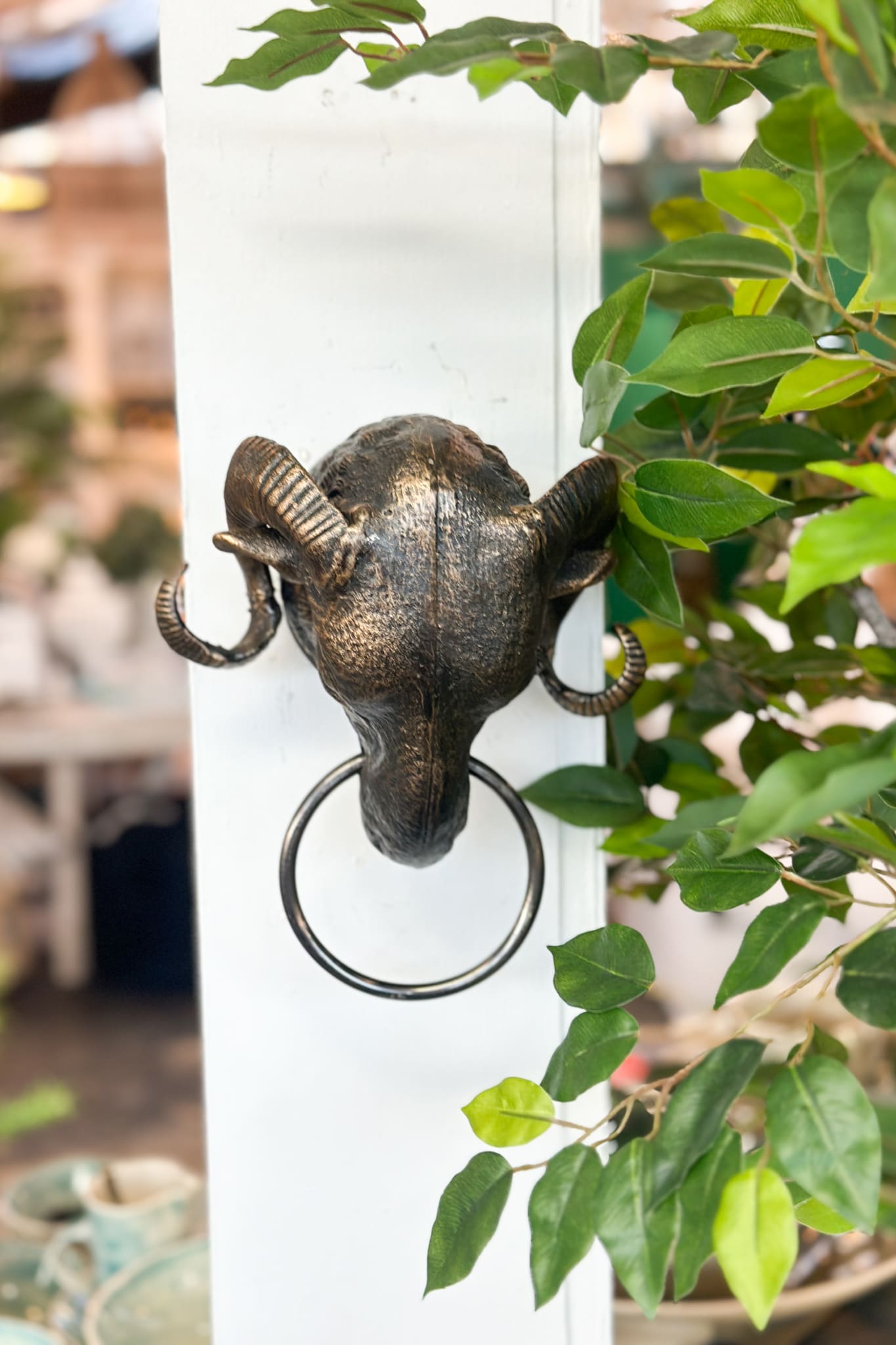 Ram Head with Ring - Magpie Style