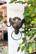 Ram Head with Ring - Magpie Style