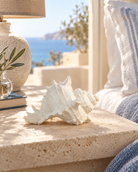 Murex resin shell ornament styled in a sunlit coastal bedroom