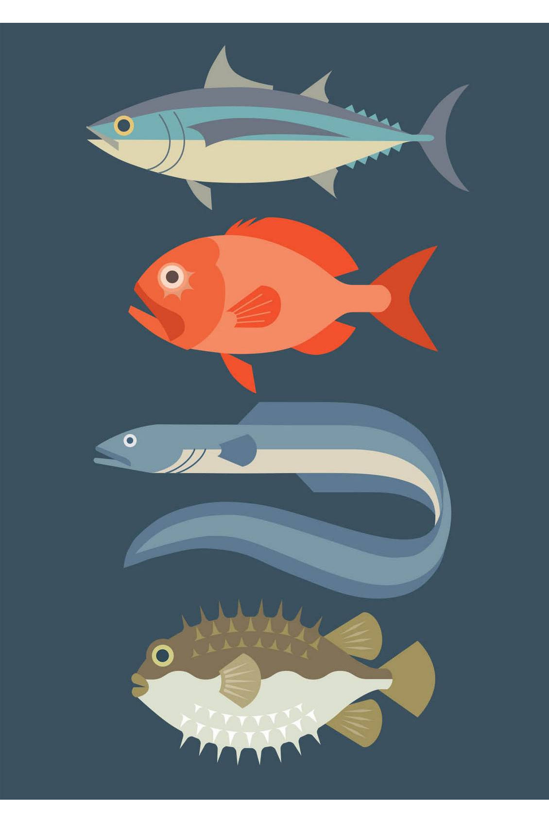 New Zealand fish greeting card by Hamish Thompson