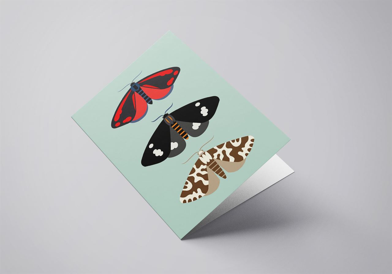 Angled view of the New Zealand moths greeting card