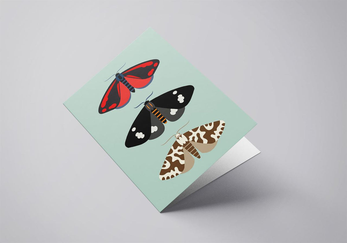 Angled view of the New Zealand moths greeting card