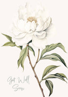 Card - White Peony Get Well - Nuovo F241 original