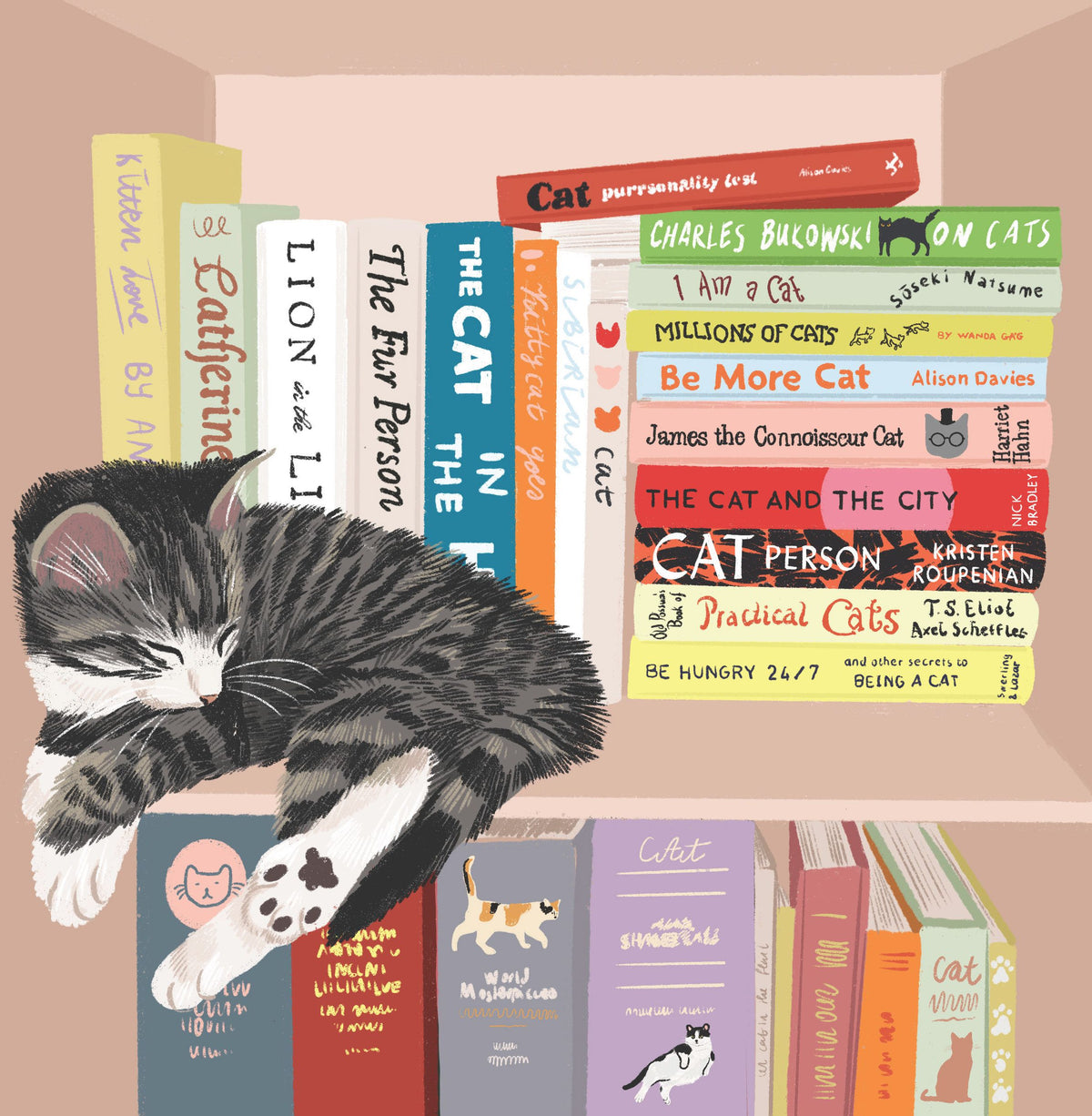 Card - Library Cat - Nuovo LEVY08 original