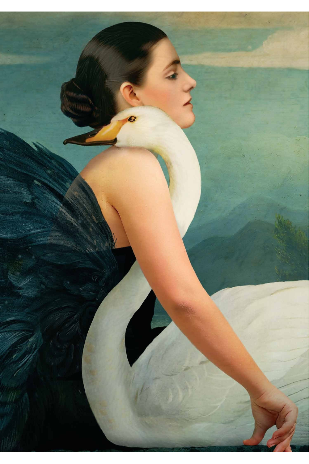 Card - Swan Embrace