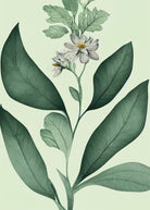 Card - Petal & Peace - original artwork