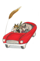 Card - Fast Lane, Feline Fame - complete artwork