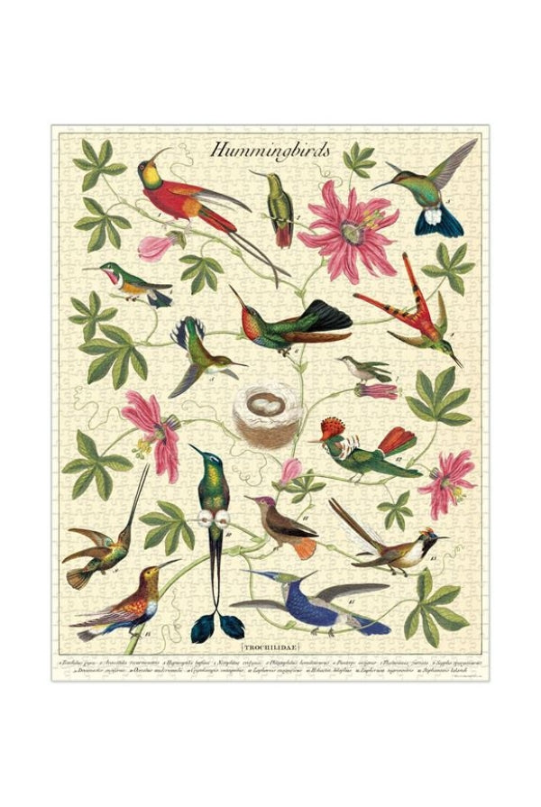 Cavallini & Co - Hummingbirds 1000 Piece Vintage Puzzle - Magpie Style