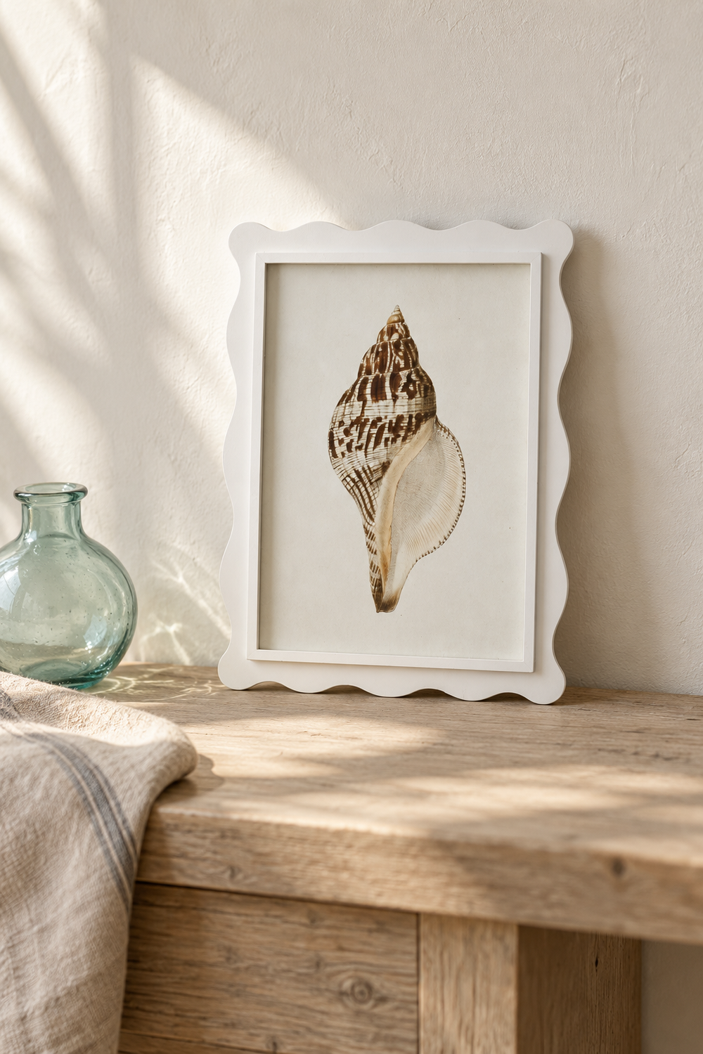 Scalloped Shell Study A
