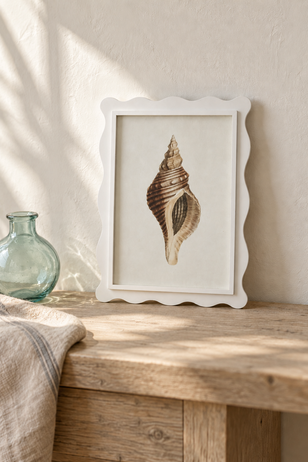 Scalloped Shell Study C