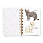 Moody Cats Sticker Book - 7