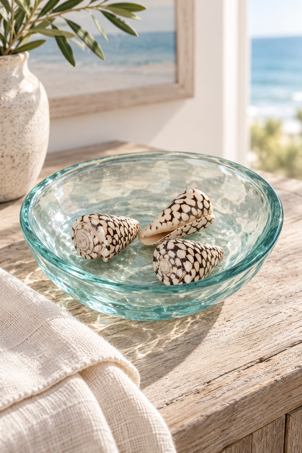 Spotty Cone Shells