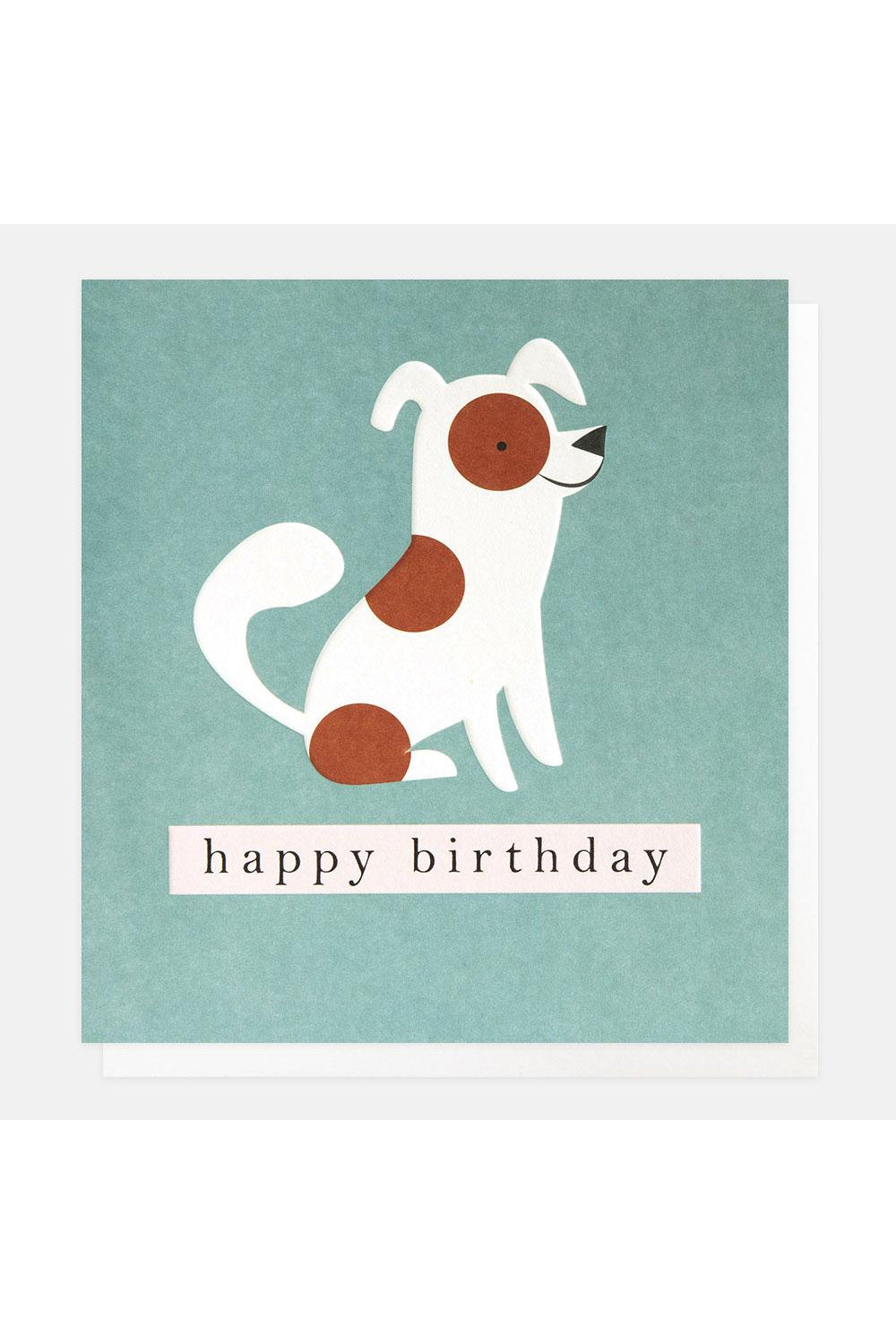 Spotty dog on a teal birthday card