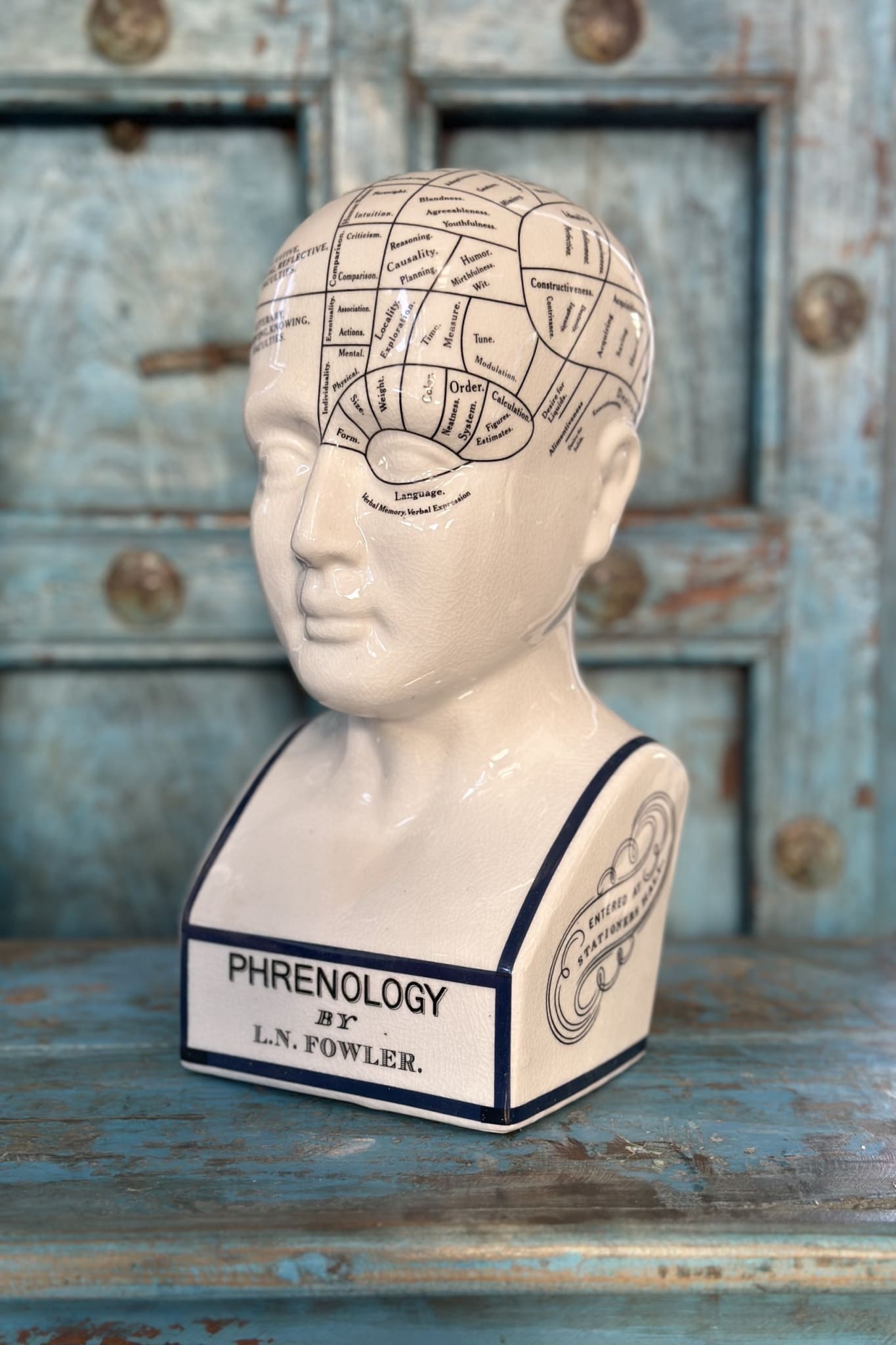 Phrenology Head - Large - Magpie Style
