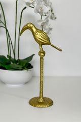 Toucan on Stand - Iron w Brass Finish